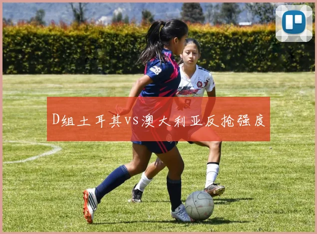 D组土耳其vs澳大利亚反抢强度