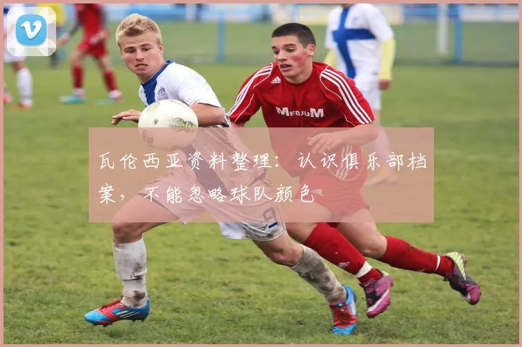 瓦伦西亚资料整理:认识俱乐部档案,不能忽略球队颜色