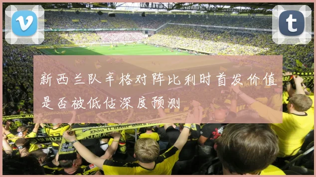 新西兰队辛格对阵比利时首发价值是否被低估深度预测