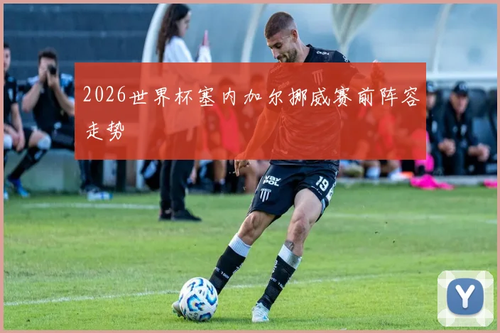 2026世界杯塞内加尔挪威赛前阵容走势