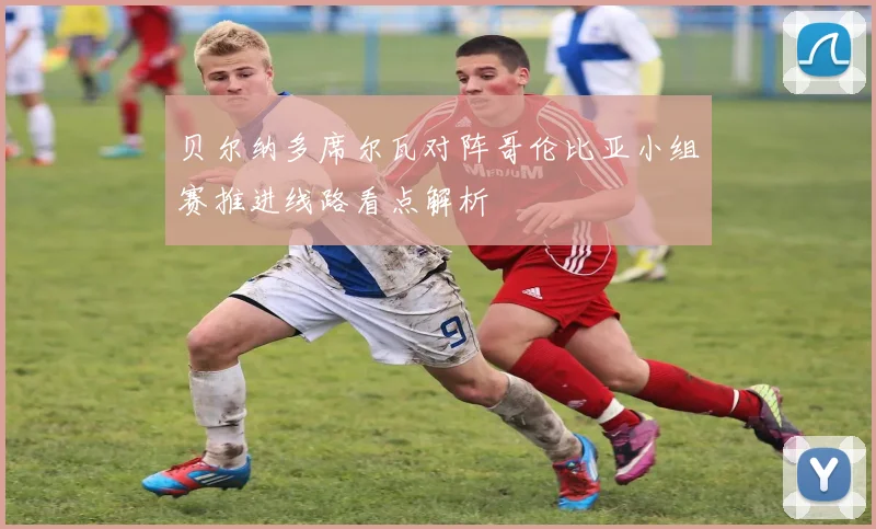 贝尔纳多席尔瓦对阵哥伦比亚小组赛推进线路看点解析