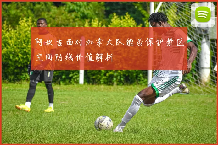阿坎吉面对加拿大队能否保护禁区空间防线价值解析